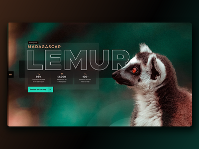 Lemur Awareness + Conservation Landing Page
