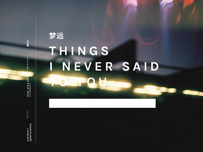 things i never said to you album art