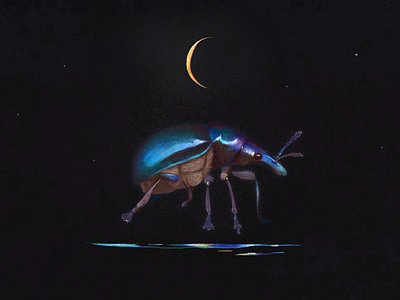 bug bug iridescent moon