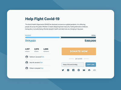 Crowdfunding Campaign 032 dailyui