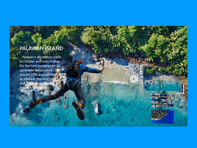 wingsuit Website after effect ui ux website xd design