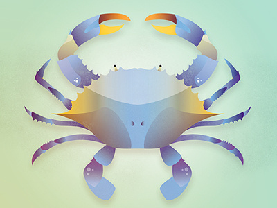 Crabby crab vector