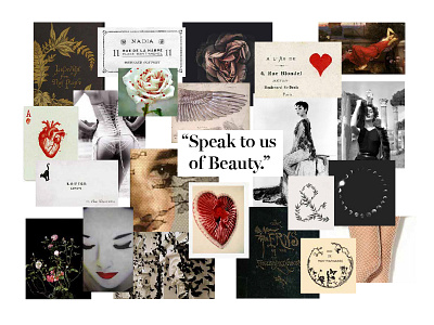 muse moodboard branding floral heart identity moodboard rose sexy