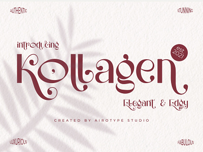 Kollagen Font - Stylish Modern Sans Serif Font