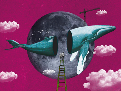 Whale Home🐋 adobe design digital art dribbble graphic design illustration illustration art marionetta whale