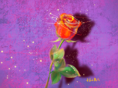 rose flower illustration rose