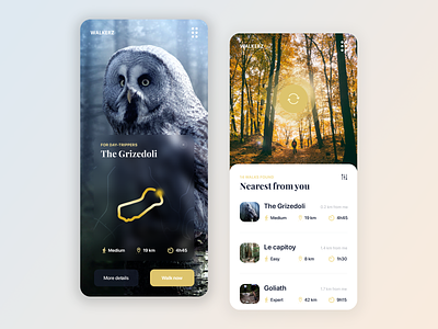 Time to Walk - Mobile App app application ios layout mobile typography ui user experience ux