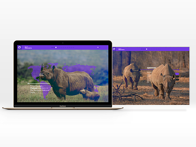 Dream Project black rhinoceros nature protection species web web design