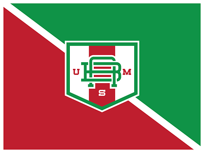USM Belabbes 2017 2018 algerian champion crest cup logo soccer usmba