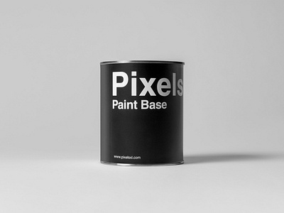 Pixels XL Paint Base