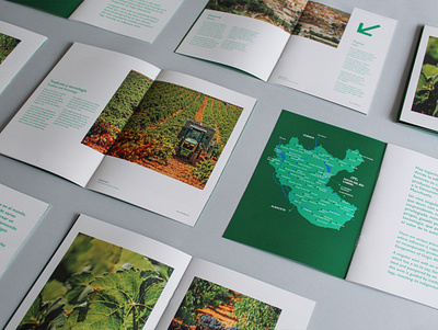 Dossier Manchuela branding brochure design dossier editorial graphic design winery