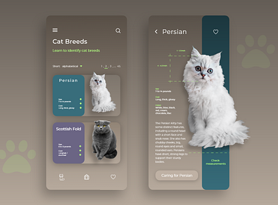 Daily UI Challenge #45 Info Cards animals app app design breeds cat cats challenge daily dailyui design info learn pets ui