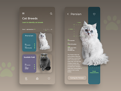 Daily UI Challenge #45 Info Cards