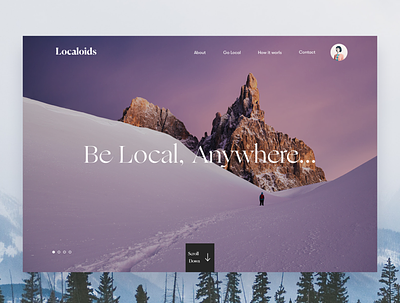 Localoids Landing branding design homepage interface responsive travel ui ux