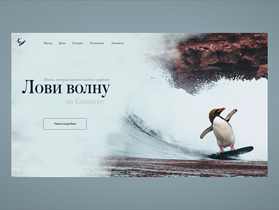 Surfing School Concept challenge clean courses design homepage penguin photoshop surfing ui ux web