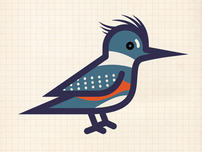 Belted Kingfisher bird illustration kingfisher