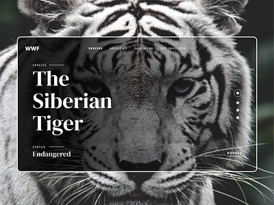 WWF - Homepage design minimal mobile modern tiger typography ui ui design uidesign uiux web web design website wildlife