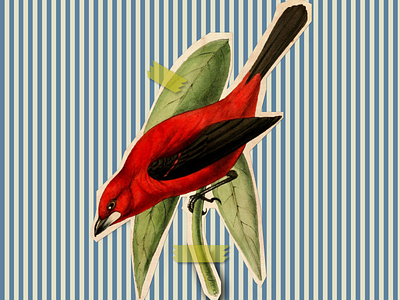 Vintage Bird