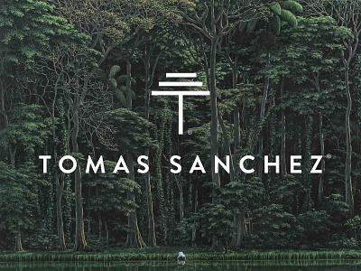 Tomás Sánchez art artist branding design identity logo personal branding