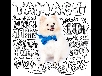 Happy 2nd Birthday, TAMAGO!! card cute hand lettering illustration lettering love puppy type typography