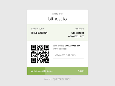 Payment gateway bitcoin btc gateway invoice loader minimal modern payment transaction ui ux