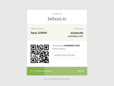 Bitcoin payment widget by Samuel Kraft ⭐️ on Dribbble