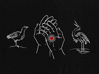 Nene, Hands, and Crane illustration procreate