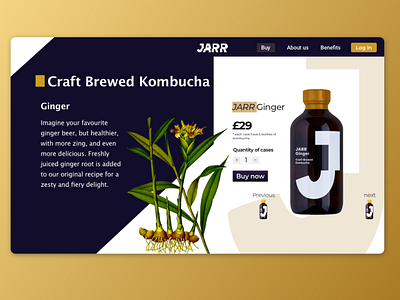 kombucha branding design kombucha ui web