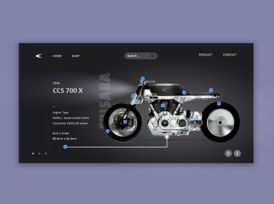 2046 CCS 700X design web