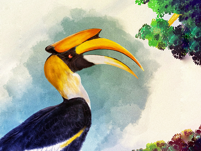 Hornbill bird digital art hornbill illustration malabar hornbill photoshop sky tree