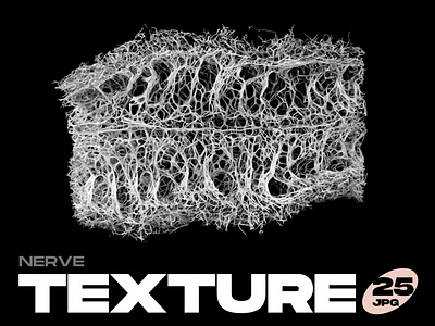 Nerve Textures