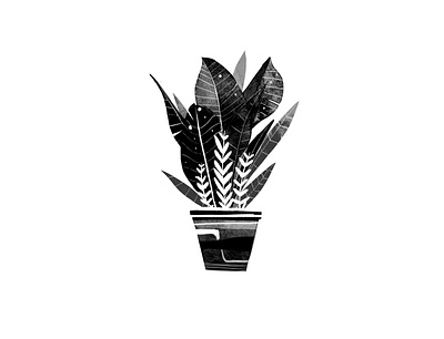 Plant illustration art artwork design illustration organic photoshop plant