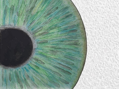 Eye illustration