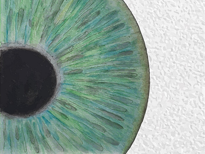 Eye