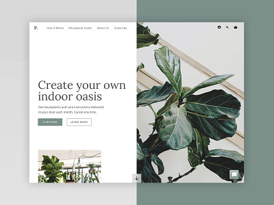 Houseplant Subscription Web Design