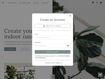 Create an Account - Houseplant Subscription