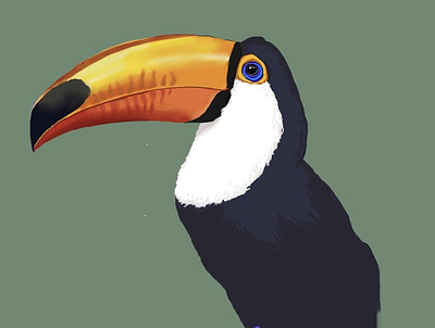 Parrot illustration