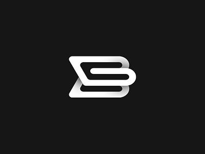 BB bb black branding identity lettering logo mark monogram shading typography white