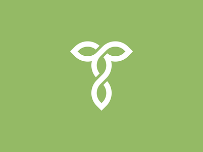 Tom Koller branding icon leaf leaves logo mark monogram nature roots t