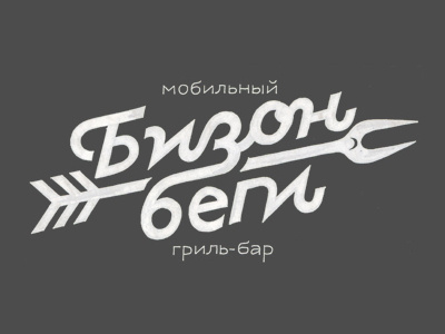 BizonBegi create logo logo design logohaus russia type logo vladivostok