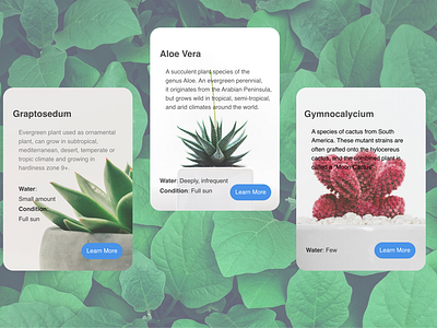 DailyUI 045 - Info Card daily 100 challenge dailyui045 dailyui45 info infocard mobile mobile app plant