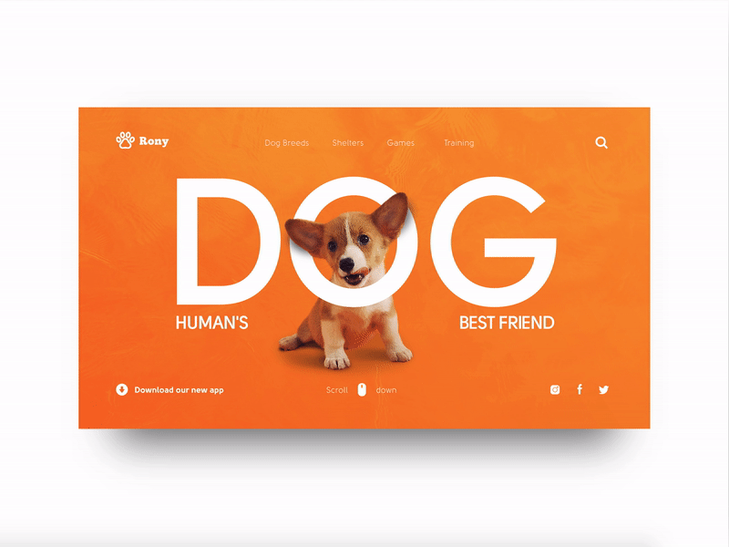 Dog website concept branding design designs dog dogs graphic graphic design graphicdesign responsive web web design webdesign website website design