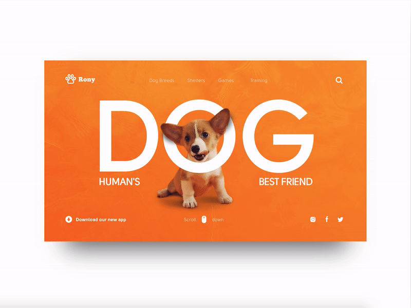 Dog website concept
