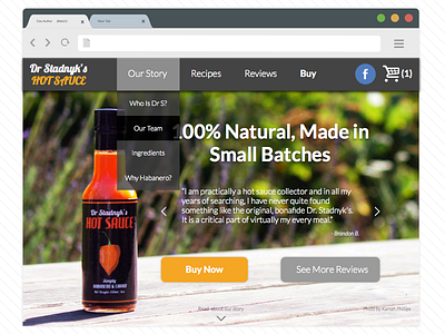 Dr Stadnyk's Hot Sauce branding interaction design visual design web design