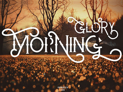 Glory Morning carters classic typeface modern vintage vintage typeface