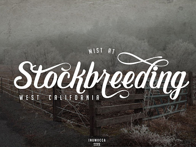 Stockbreeding