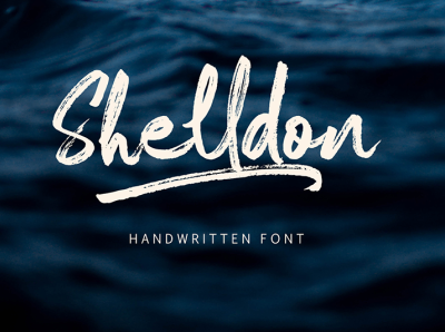 Shelldon Dry Brush Font branding brush creative design dry brush handlettering logo modern portfolio rustic