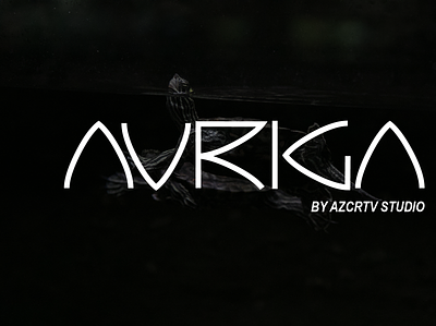Auriga Font alien branding creative design identity modern sans space