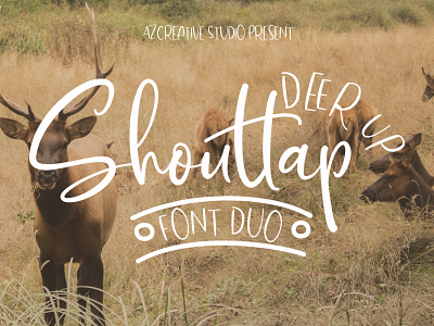 DeerUp Shouttap Font Duo