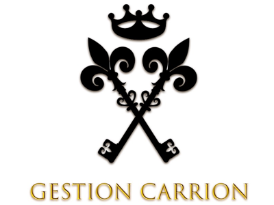 French Management Company Logo illustrator logo design photoshop